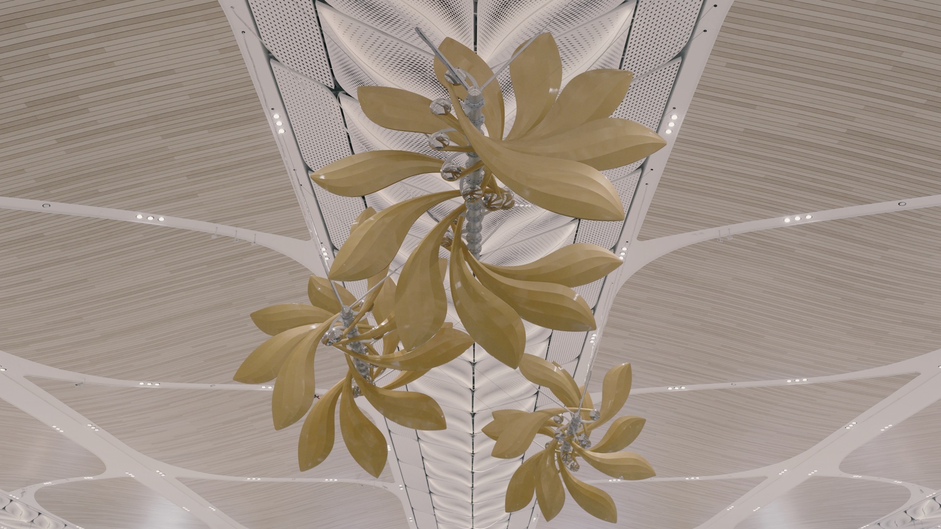 Samaras petal forms viewed from below