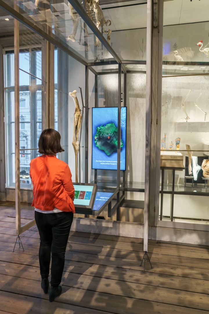 Ecological footprint island visualization from satellite data